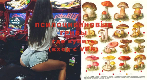 гидра Иннополис