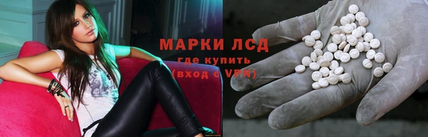 стафф Инта