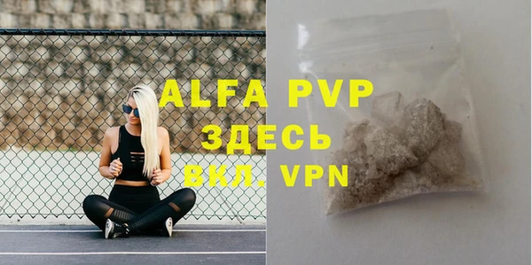 стафф Инта