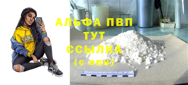 стафф Инта